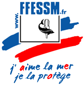 logo ffessm